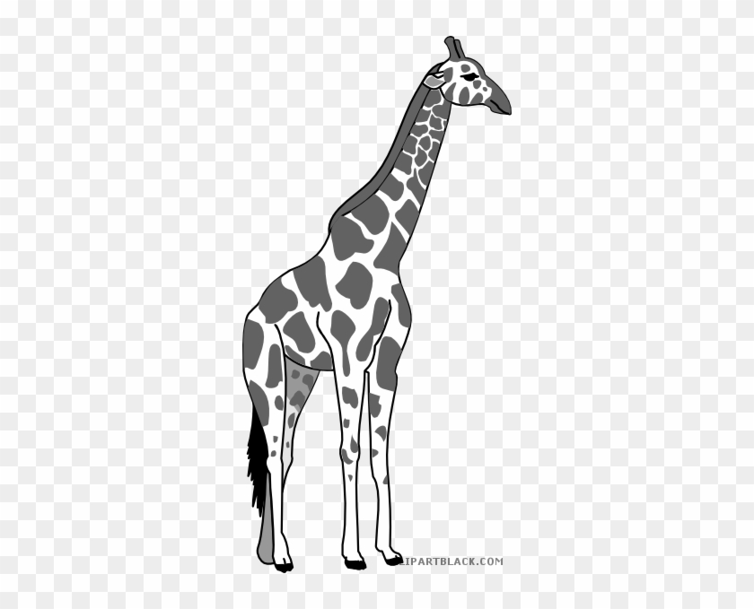 Giraffe Medium Animal Free Black White Clipart Images - Giraffe Iphone 6 Tough Case #1140496