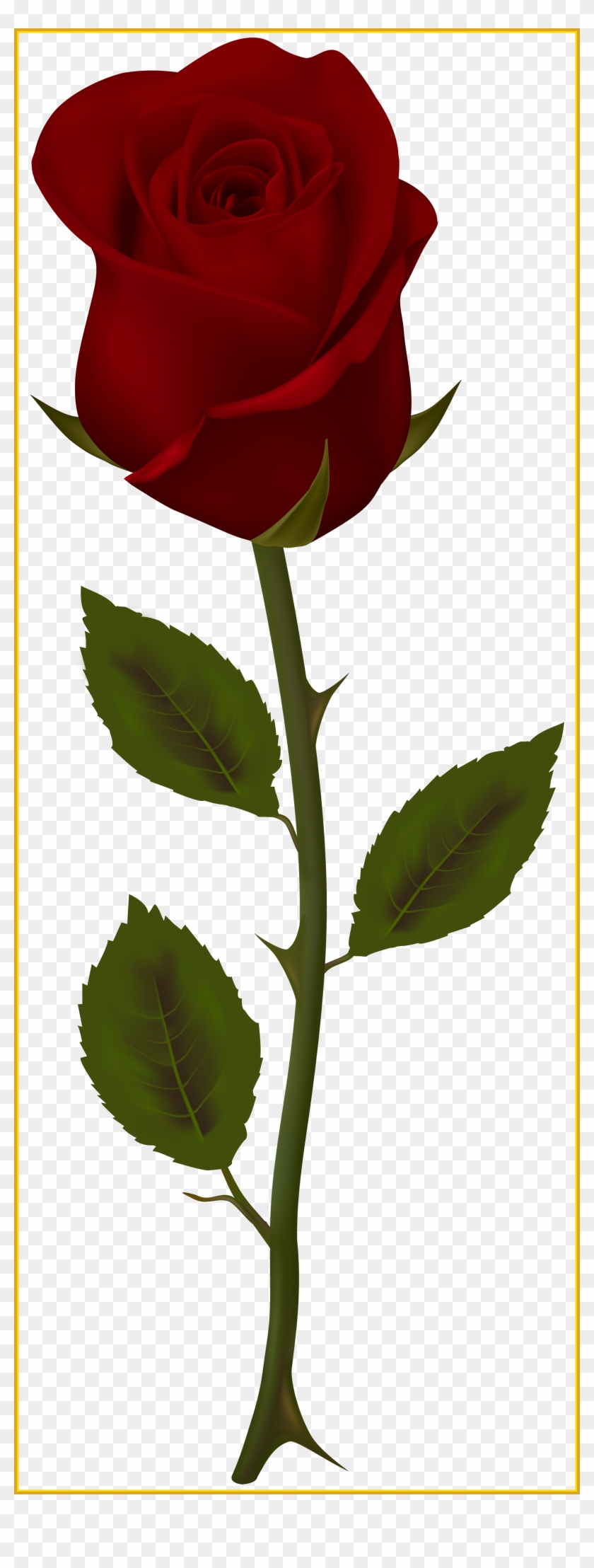 The Best Dark Red Rose Transparent Png Clip Art Gallery - Clip Art #1141184