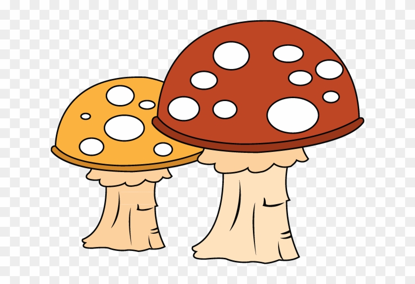 Medicinal Mushroom #1143154