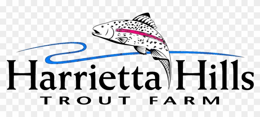 About Harrietta Hills Trout Farm, Llc - Harrietta Hills Trout Farm ...