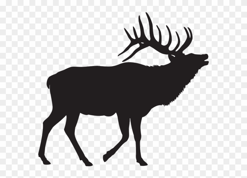 Select A Species To Learn More - Elk Silhouette Clip Art #190958