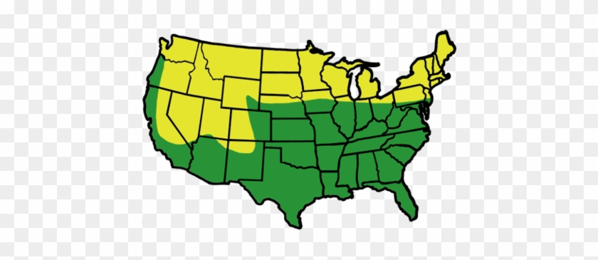 Buck Forage - Gun Crime By State #191042