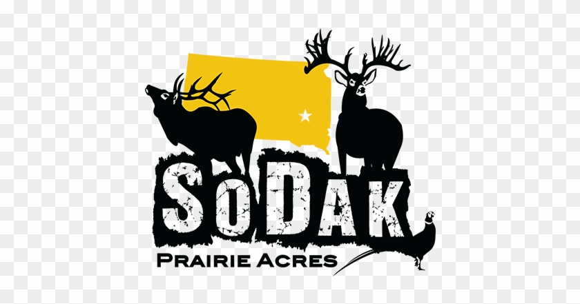 Sodak Prairie Acres - Rock The Dad Bod Crewneck Daddy Gift Dad Bod Gift For #191313