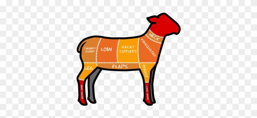 Click On Each Heading Below To Read More About Each - Rump Of Lamb Cut #191562