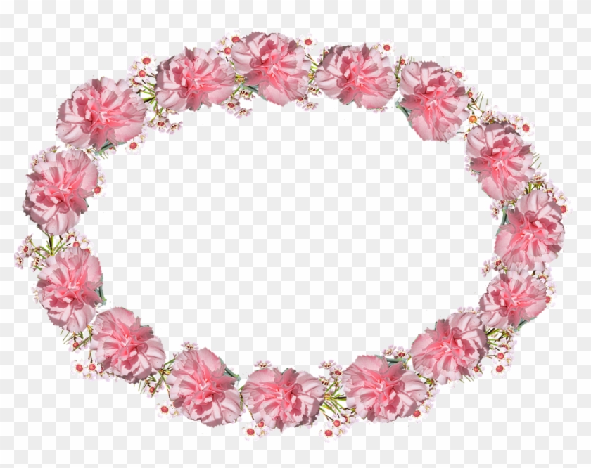 Oval, Frame, Pink, Carnation - Oval Frame Pink #1145042