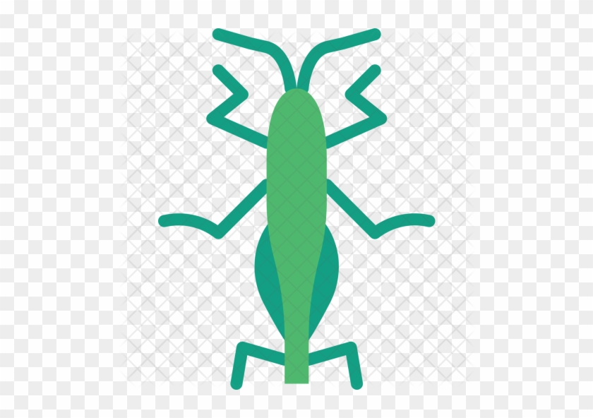 Grasshopper Icon - Grasshopper #1145694