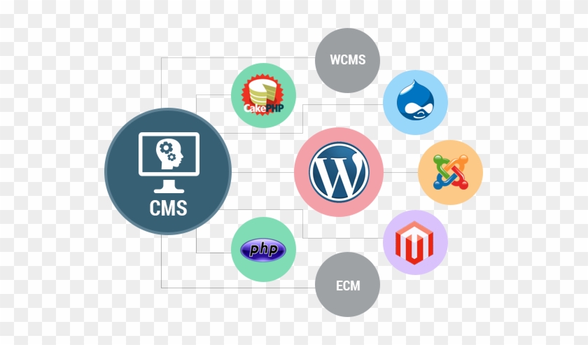 Cms Development - Cms Development Png #1153085