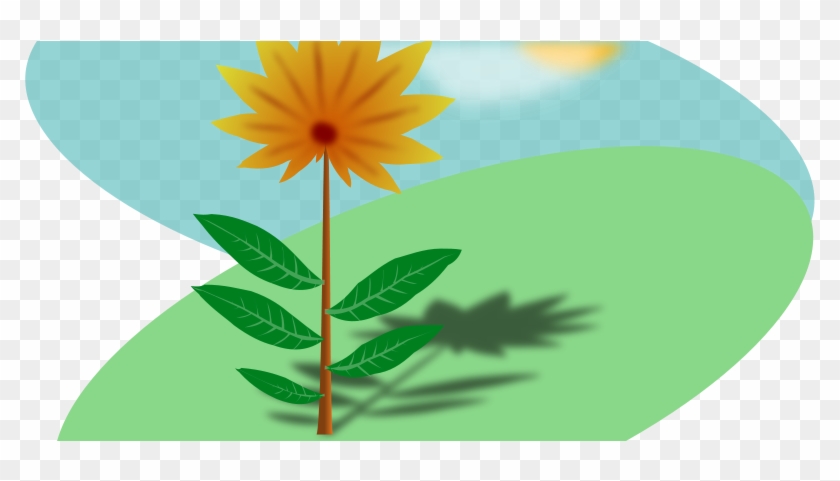 Similar Clip Art - Basic Needs Of Plants #1154375