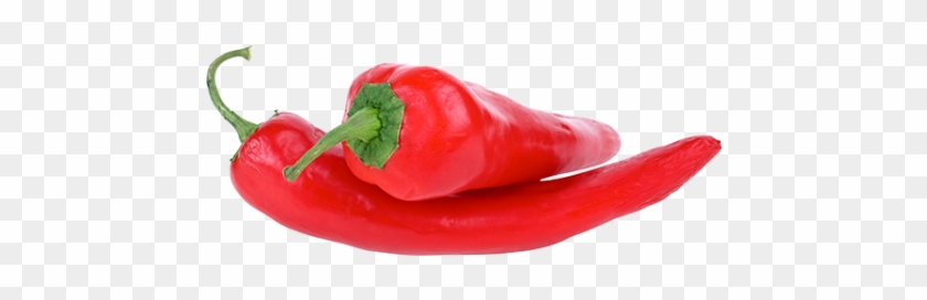 Health Benefits - Tabasco Pepper #1154935