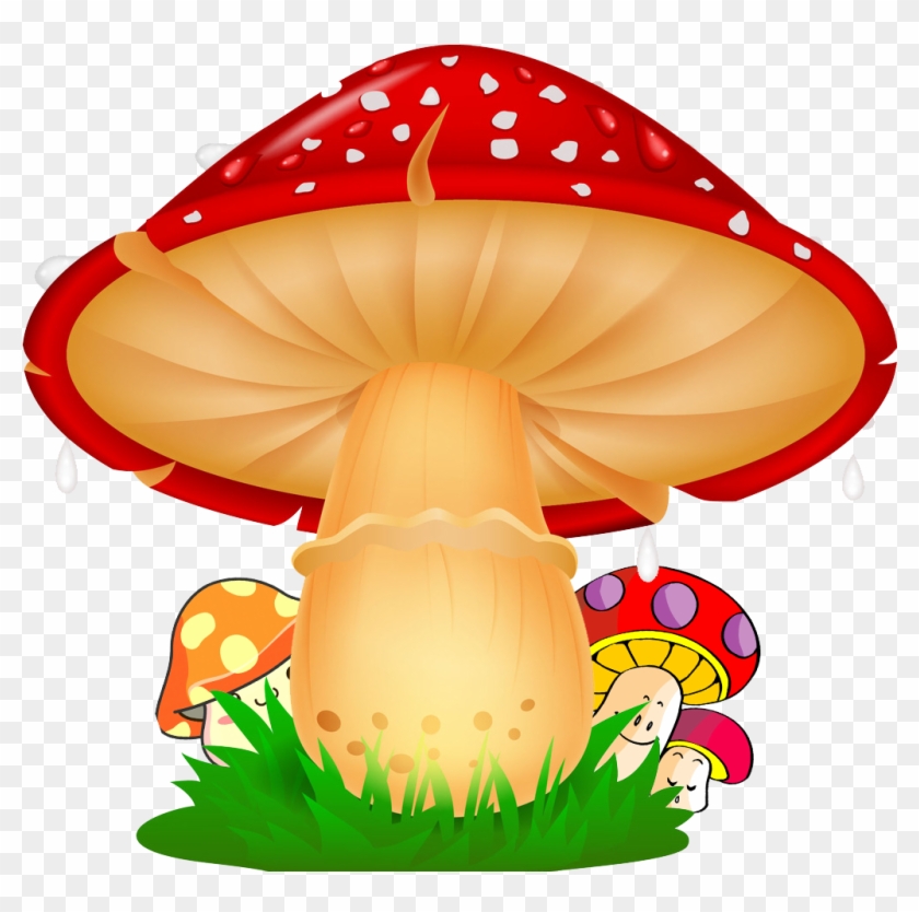 Cogumelo PNG , Clipart De Cogumelo PNG , Cogumelo PNG , Desenho Animado  Imagem PNG e PSD Para Download Gratuito