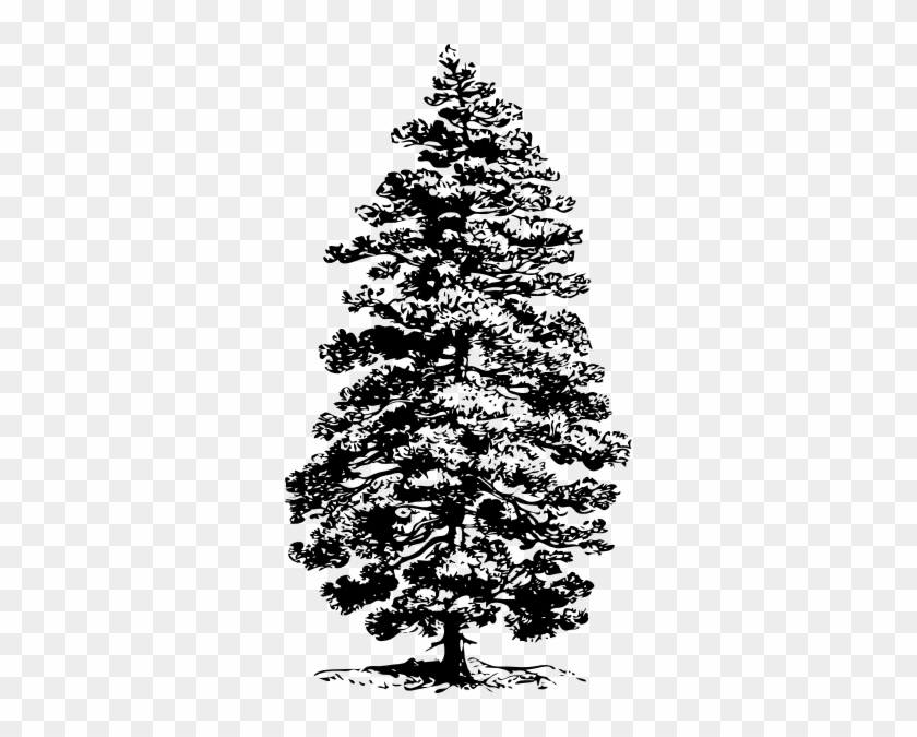 Pine Tree Clip Art Free Vector / 4vector - Pine Tree Clip Art #1159593