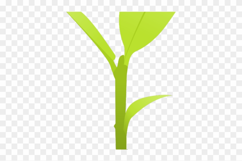 Plant Clipart Small Plant - Grass #1159646