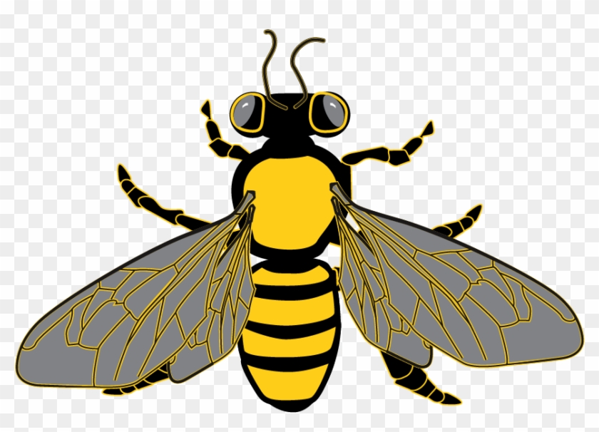 Bee Graphic From Clipart Package - Bee Transparent Background Clipart #1159786