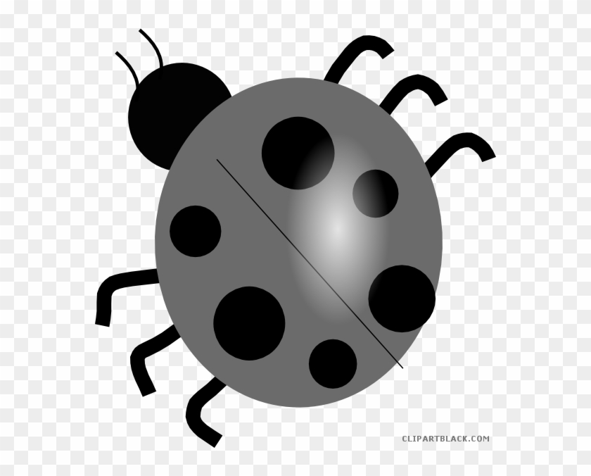 Wonderful Ladybug Animal Free Black White Clipart Images - Lady Bug Clipart Png #1159948
