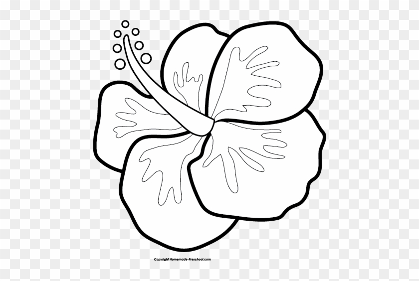 Hibiscus - Clip Art #1160459