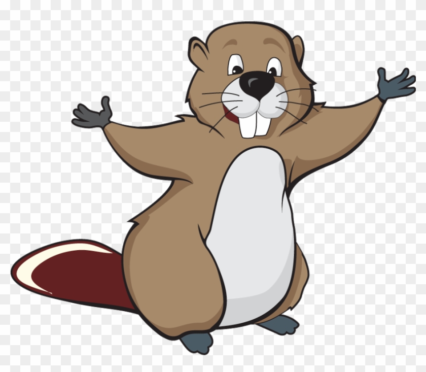 Beaver Png - Beaver Cartoon Drawing #1166435