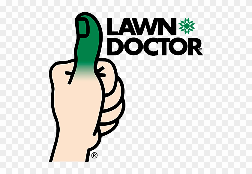 Lawn Doctor Of Wayne And Northern New Jersey - Green Thumb Lawn Care #1168596