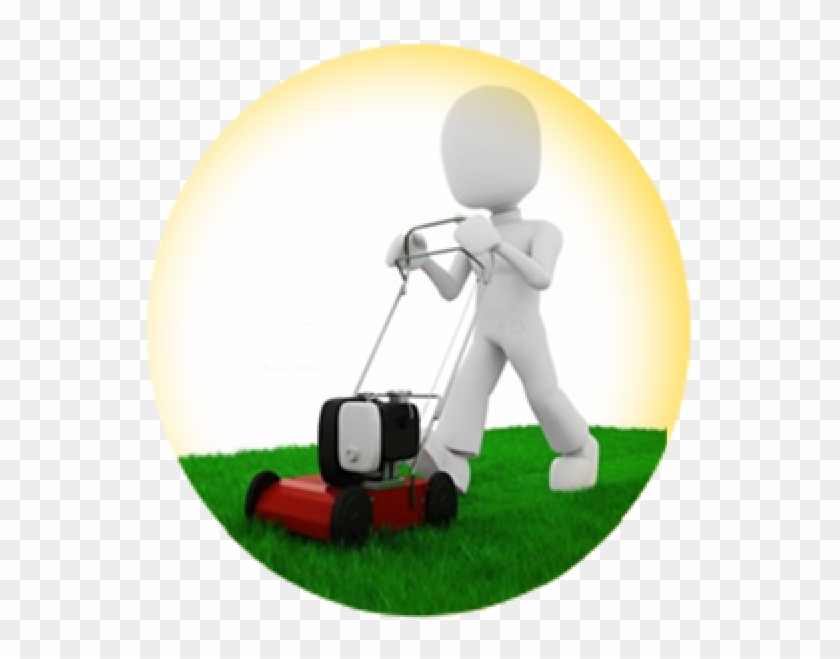 Maintenance - Lawn #1168610