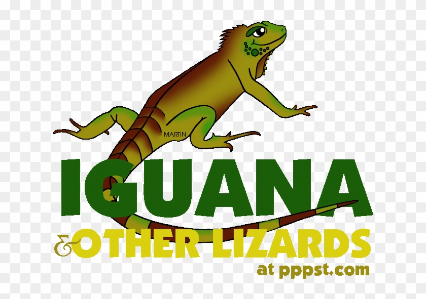 Iguana Clip Art - Iguana Pictures For Kids #1168787