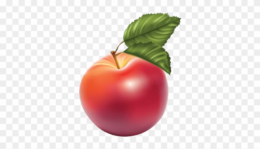 Apple Red Illustration Large - Яблоко Пнг #1169617