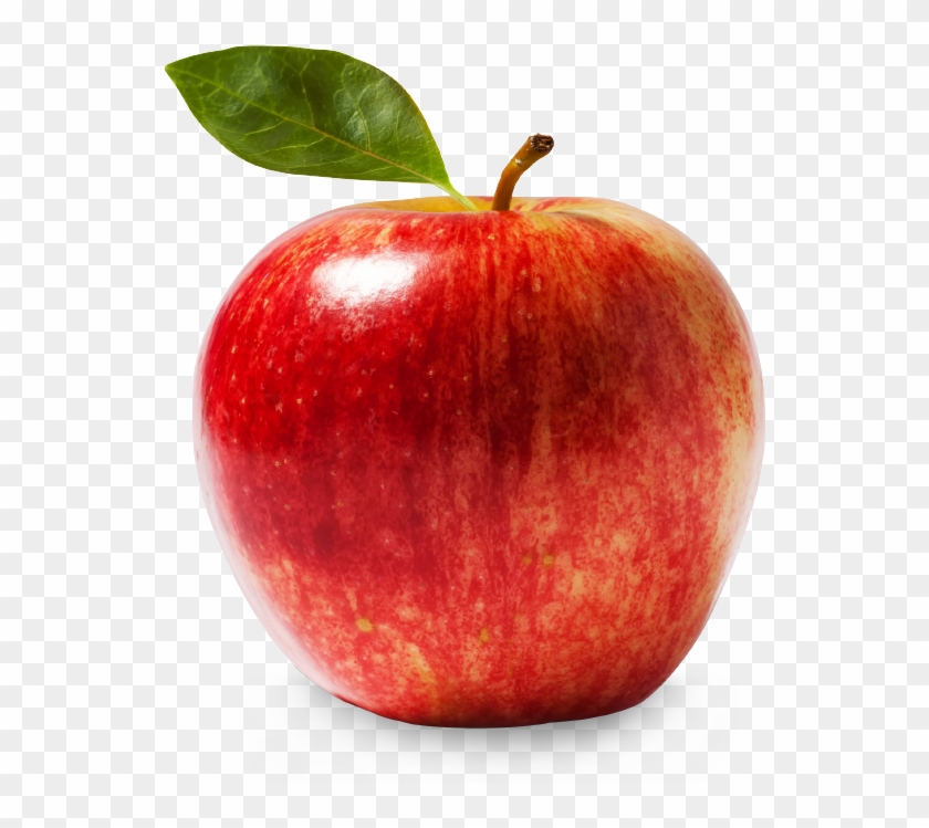 Portable Network Graphics Clip Art Apple Scalable Vector - Fruits Apple Hd Png #1169625