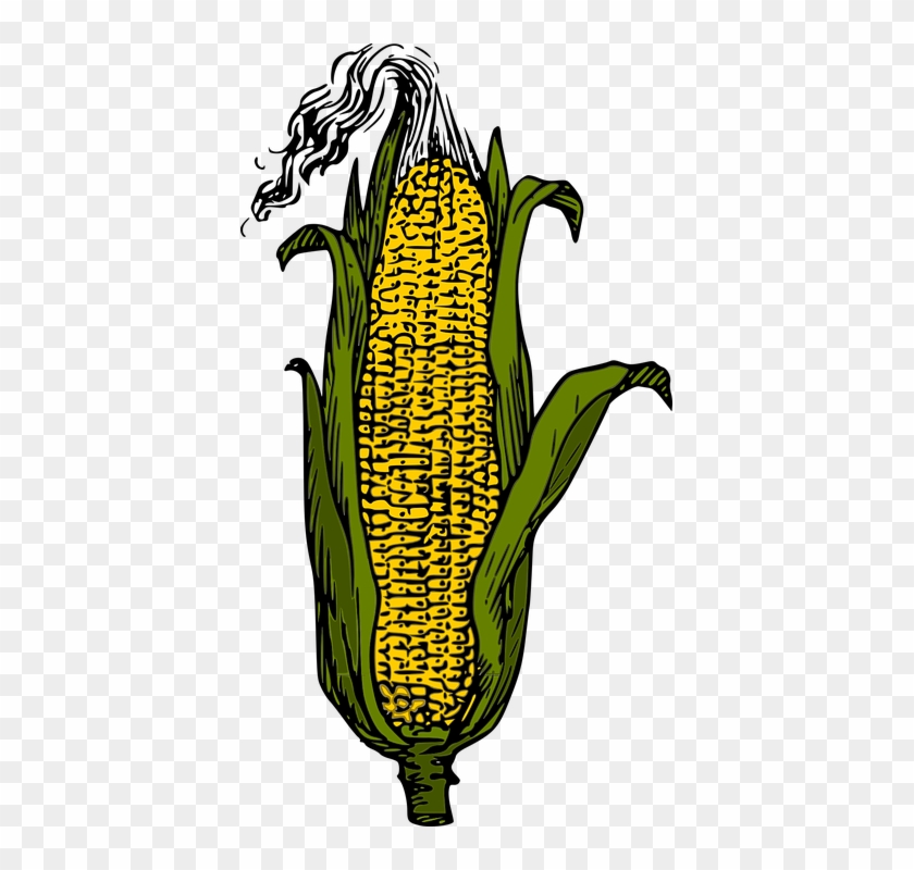 Vegetables Cliparts 15, Buy Clip Art - Corn Clip Art #1170189