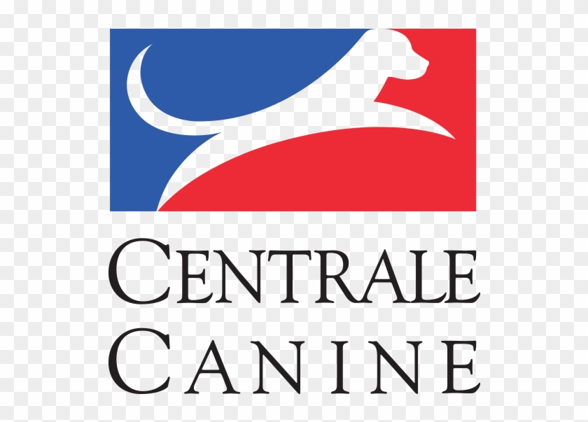 Pointer Belgian Shepherd Société Centrale Canine Malinois - New Mexico Gas Company #1171585