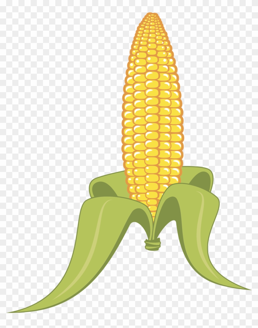 Corn 夏 イラスト 夏 とうもろこし Free Transparent Png Clipart Images Download