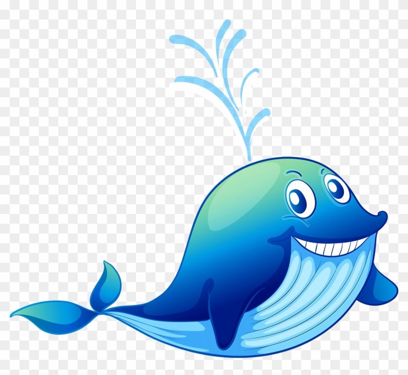 Shark Dolphin Blue Whale - Cetacea - Full Size PNG Clipart Images Download