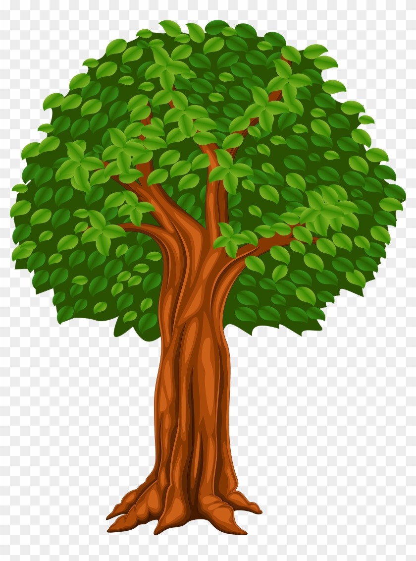 Дерево Картун