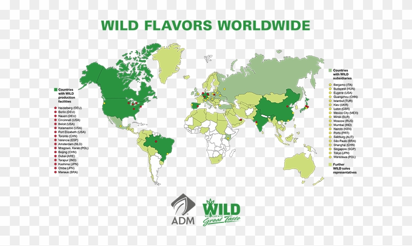 Product Range - Wild Flavors & Specialty Ingredients #1181347