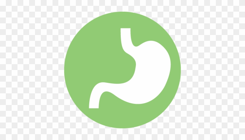 Digestion - Detox Icon #1181411