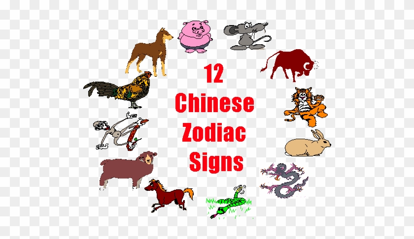 Chinese New Year Animals - 12 Zodiac Signs Chinese #1182565