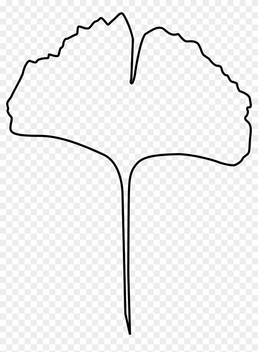 Leaf - Ginkgo Leaf Clip Art #1182569