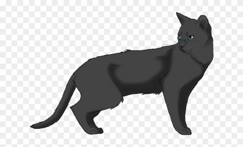 Warrior Cats Ashfoot #1183308