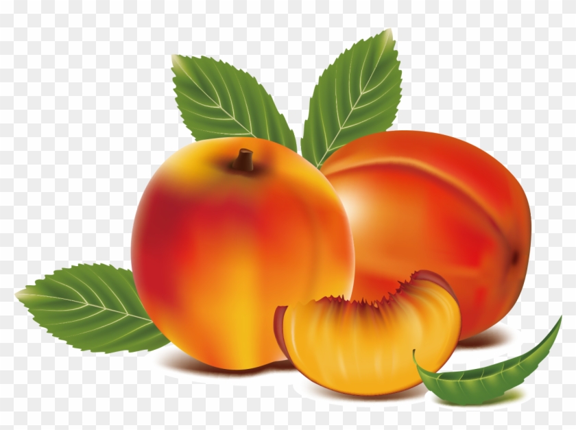 Peach Fruit Clip Art - Peach Fruit Clip Art #195454