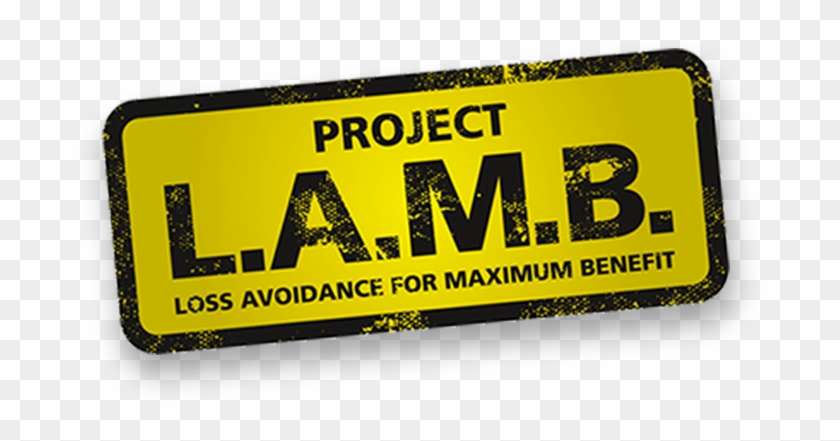 Project Lamb - Graphics #1188363