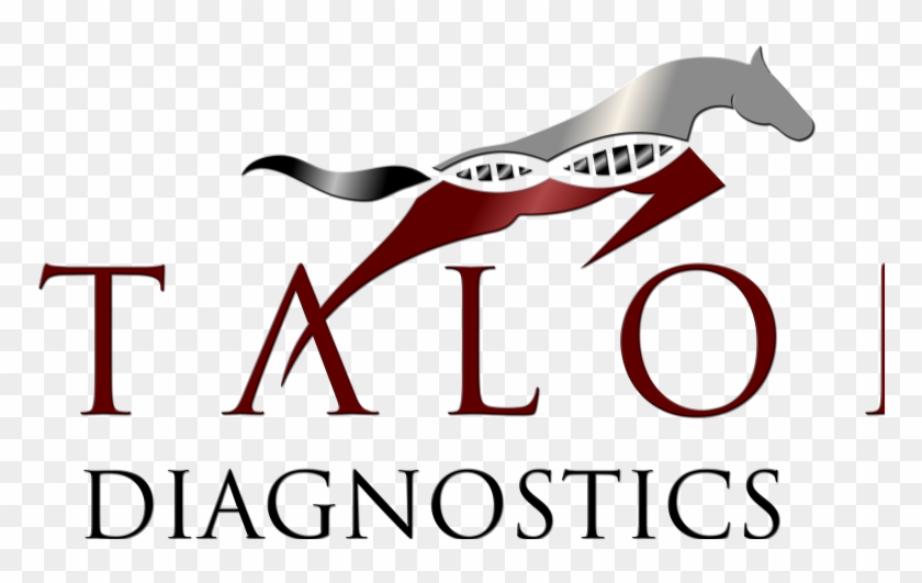 Etalon Diagnostics 405 El Camino Real, - Etalon Diagnostics 405 El Camino Real, #1190493