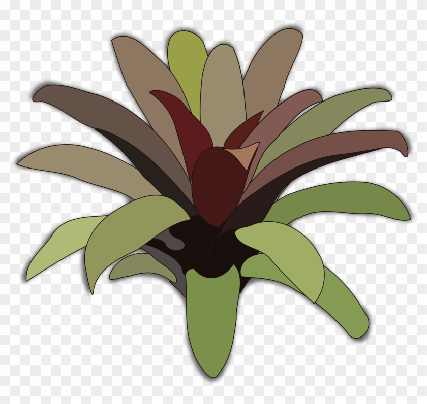 Bromelia Clipart - Bromeliad Icon #1193485