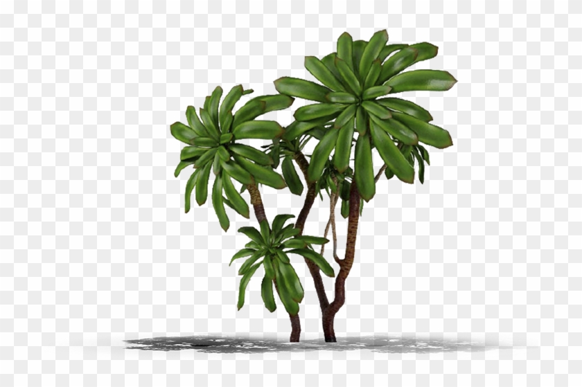 Product Item - Plants #1193569