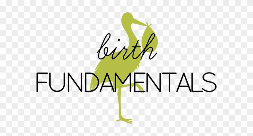 Birth Fundamentals Logo - Turkey #1194513