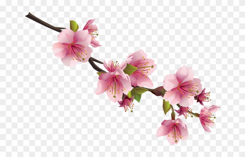 Cherry Blossom Flower Clip Art - Japanese Cherry Blossom #1195488
