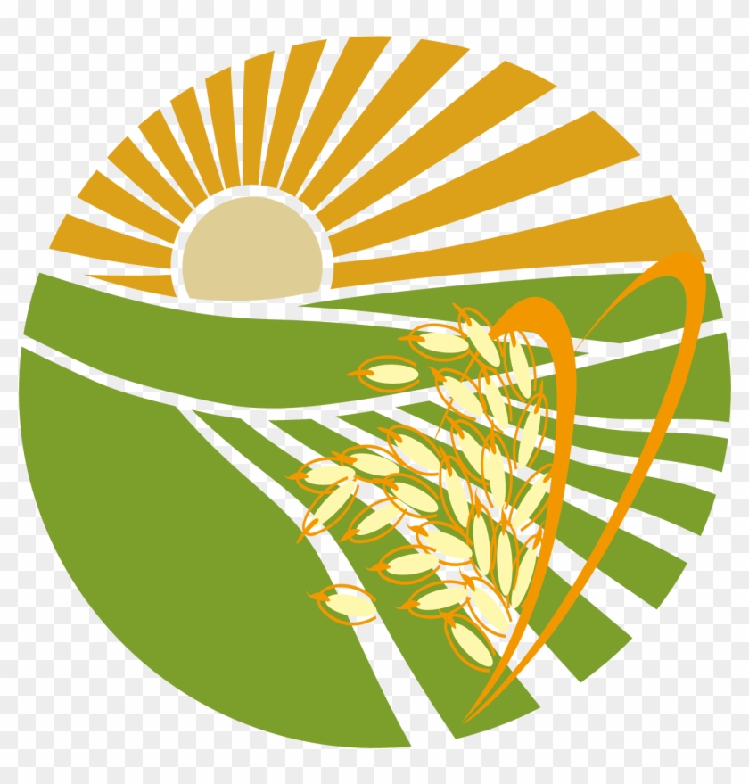 Rice Euclidean Vector Illustration - Illustration #1195884