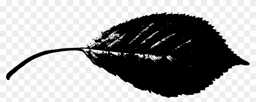 Leaf Silhouette - Leaf Silhouette Hd #1195950