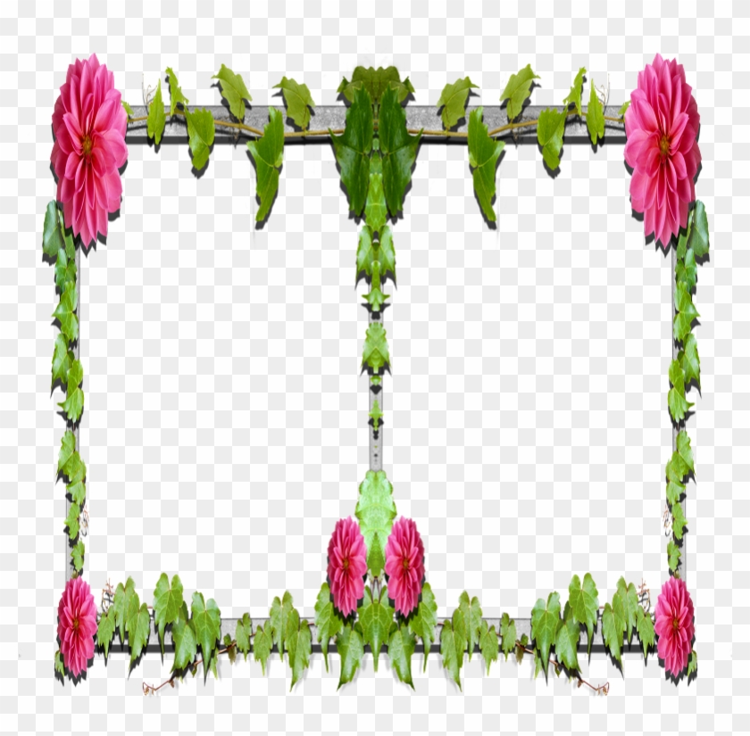Floral Design Garden Roses Cut Flowers Petal Plant - Garden Roses #1196235