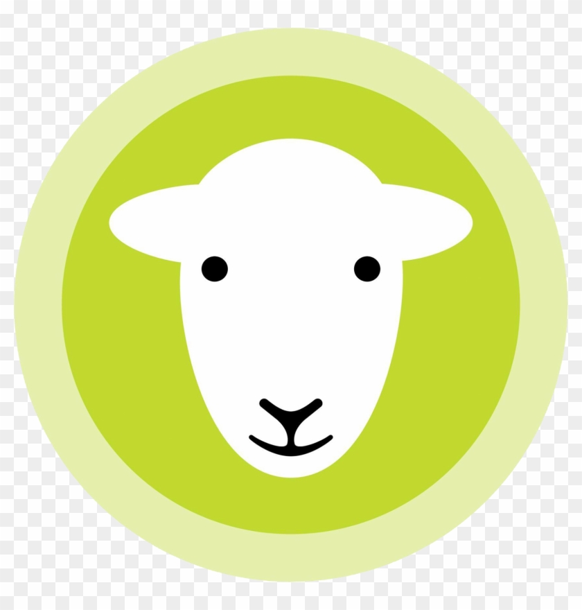 Visit Our Shops - Sheep #1199188