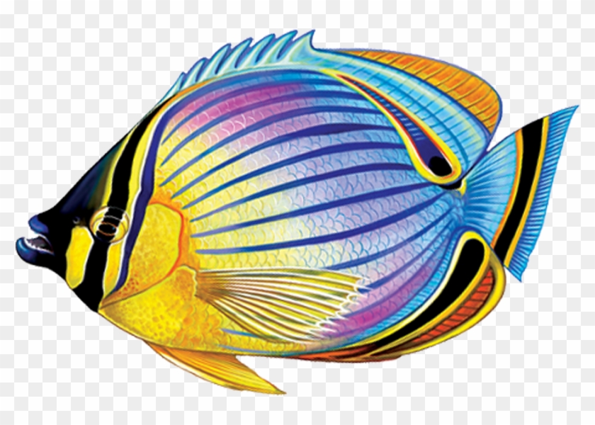 Butterflyfish Clipart Transparent - Butterflyfishes #1201280