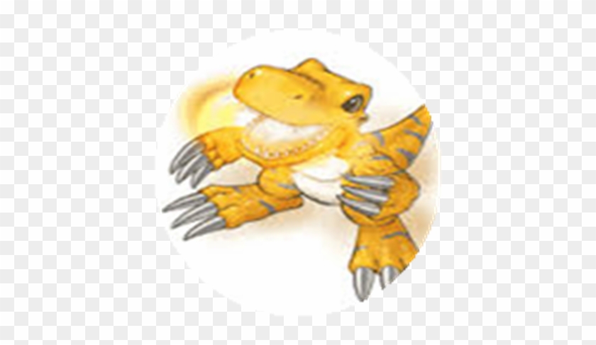 Agumon X - Black C #1202604