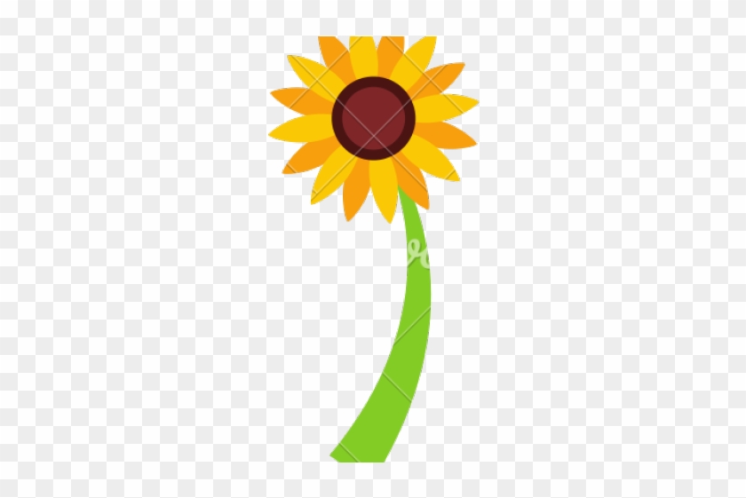 Sunflower Graphics - Textmate #1203861