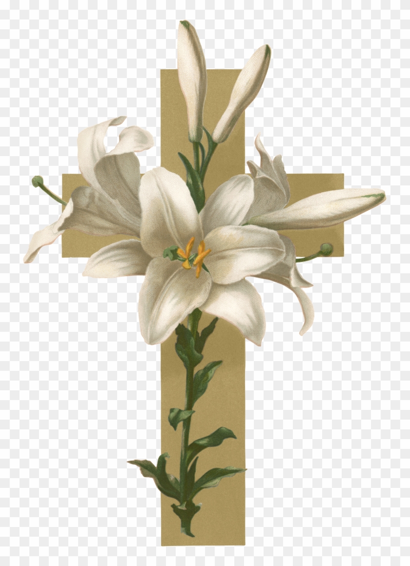 Easter Lily Christian Cross Flower Funeral Clip Art Adaptability